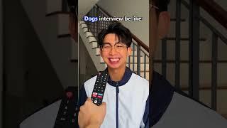 Cats interview be like