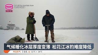 气候暖化冰层厚度变薄 松花江冰钓难度降低【2025.01.09 八度空间午间新闻】