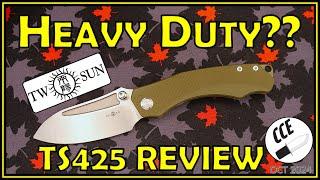 Review of the TwoSun TS425 - Is it as Heavy Duty as it LOOKS??  - RIHE Design