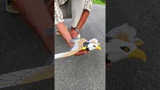 My new flying Eagle #flyingbird