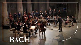 Bach - Cantata Es ist dir gesagt, Mensch, was gut ist BWV 45 - Rademann | Netherlands Bach Society