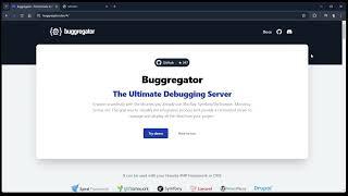 Buggregator introduction