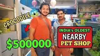 DELHI's OLDEST PET SHOP TOUR - Collection of DOG, FISH, PIGEON, PARROT, RABBIT, FOOD **$50000** !!