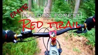 Haldon forest Red trail MTB