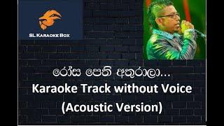 Rosa pethi Athurala... Karaoke Track Without Voice (Acoustic Version)