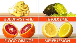 Trying Every Type Of Citrus | The Big Guide | Epicurious