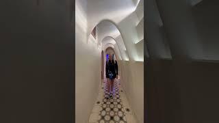 Casa Batllo - Gaudi’s masterpiece #casabatllo #barcelona #travel #travelvlog #vlog #videography