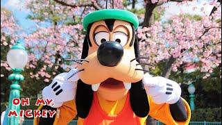 Disney Character Goofy's Funniest Moments Yet | Best Disneyland & Disney World Interactions