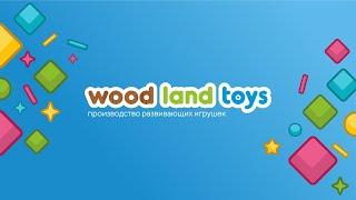 WOODLANDTOYS - производитель развивающих игрушек. Интервью с учредителем компании.