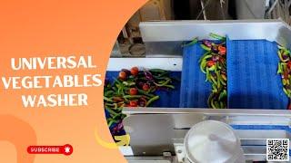 Universal Vegetables Washing & Drying Line by SS Engineers  #vegetablewasher