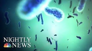 Probiotics Are The Latest Health Craze, But Are They Actually Good For You? | NBC Nightly News