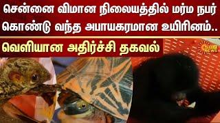 Chennai Airport | foreign animals | FIR | Africa monkey | Sun News