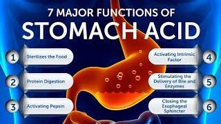 🩸(MLT) Digestive system (Stomach) Anatomy and physiology details  hindi | Function | Wall and layer🩸