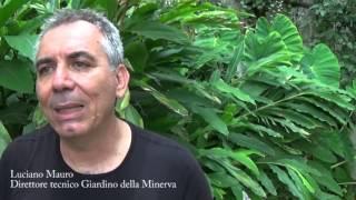 GUNA per il Giardino della Minerva