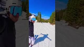 Man Skii's With Moose #Moose #Wildlife #Skiing