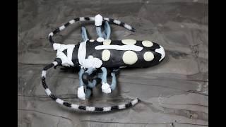 Fungal Control of the Asian Longhorned Beetle