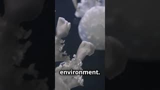 MIND-BLOWING FACTS - OCEAN FRONTIER #didyouknowspace #science #spacemysteries  #education  #facts