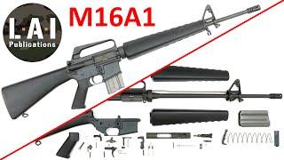 M16A1 Assault Rifle: Disassembly & Assembly