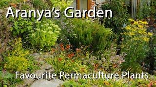 Aranya's Garden: Favourite Permaculture Plants