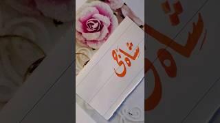 Shaji name's calligraphy video #turkishcalligraphy #calligraphy #allovertheworld #viral