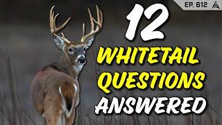 Best Tips for Hunting Public Land!