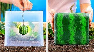 21 AMAZING PLANTS IDEAS || DIY Gardening Tricks You Should Know