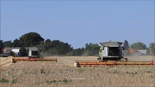 100% Claas / Getreideernte - Grain Harvest 2018