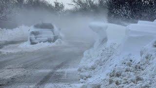 Two killed in Bulgaria by falling trees in gale-force winds