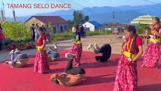 Tamang selo dance|| Deusi bhailo 2079||#Hetauda