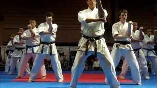Chris Denwood at The Martial Arts Show Live 2012