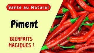 Les bienfaits surprenants du PIMENT : êtes-vous prêt à les découvrir ?