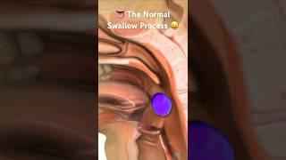 How Swallowing Mechanism Works  #dysphagia #speech #viralvideo #shortvideo #youtubeshorts #viral