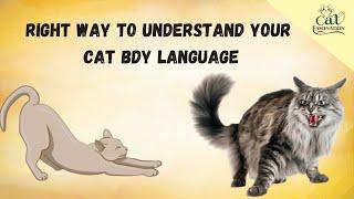 MASTER Your Cat's BODY LANGUAGE in Just 10 Minutes a Day!