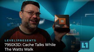 7950X3D: Cache Talks While The Watts Walk