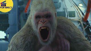 Rampage: Büyük Yıkım | Uçakdaki Dev Gorilin Dehşeti | HD |