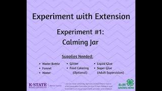Experiment With Extension: The Calming Jar
