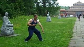 Sifu Robert Dreeben performs the Yang Tai Chi Sword form