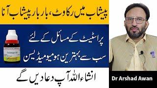 How To Treat Prostate Problems Permanently In Urdu/Hindi | Prostate Ka Ilaj