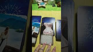 Misticne karte #tarottumacenje