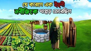 বিশ্ব নবী ও এক ইহুদীর অবাক করা ঘটনা | ইসলামিক কাহিনী | Islamic Story Bangla | মানব জীবন |