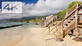 Tropical Beach Scenery - Oahu, Hawaii Beach - Virtual running / walking. [4K]