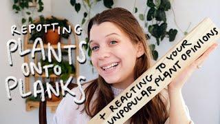 reacting to your unpopular planty opinions while putting plants on planks!