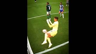 Insane Goal Line Clearances 
