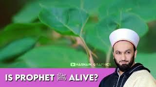 Is Prophet Muhammad ﷺ Alive ? || Peer Saqib Shaami || Hasnain Graphics ||