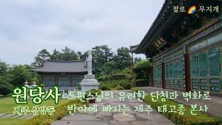 [사찰 기행] 원당사 도원스님의 유려한 단청과 벽화로 반야에 드는 제주 태고종 본사 Wondangsa Temple tour in Wondangbong Peak, Jeju