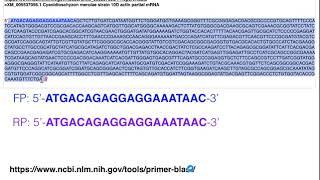 Biotechniques | Principles of Primer Design for Full Gene Amplification