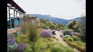 Bernard Trainor, Landscape Designer and Multidisciplinary Artist, USA - 12 March 2025