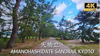 [ KYOTO ] Amanohashidate Sandbar, a relaxing walk surrounded by pine tree #ine #海の京都 #天橋立