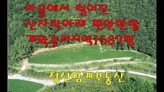 동네시세보다 싼 밭..마을에서 떨어진 산자락아래있는밭매매(정선임계부동산)