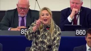 Merry Brexmas ! MEP Phillips from Nigel Farage Brexit Party trolls the European Parliament on Brexit